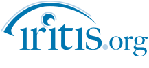 Iritis Organization
